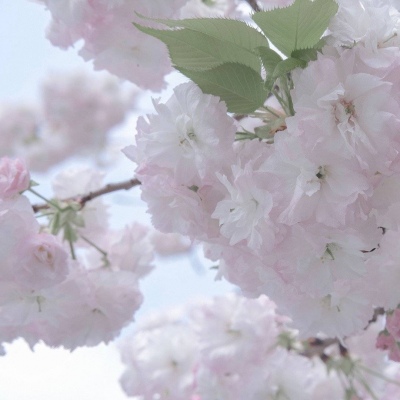 下城FurryQQ群介绍